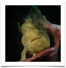 20080918_54