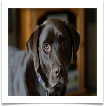 DSC_0055_edited-1