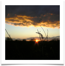 usunset_after_the_storm